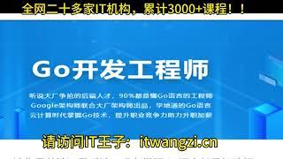 Go开发工程师：迎接上升风口，踏入蓝海行业！【完结】