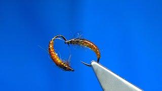 Tying a Czech Nymph with Davie McPhail