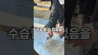 수목장에 유골함을 쓰면 안 된다고?