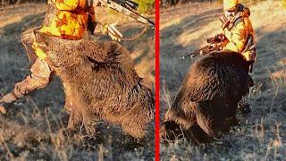 WILD BOAR ATTACK! Wild boar injured the hunter, here are those dangerous moments of wild boar hunt