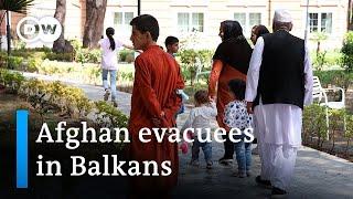 Many evacuated Afghans find shelter in Balkan countries, particularly Albania | DW News