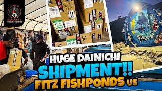 104 BOXES OF DAINICHI KOI!! FITZ FISH PONDS!