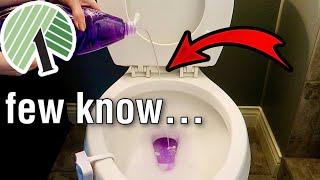put this Dollar Tree MIRACLE in your toilet AT NIGHT!  Watch This