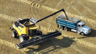 New Holland CR9.90 під час збору врожаю ячменю 2024 в західній Канаді