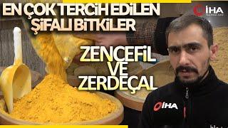 Kışın En Çok Tercih Edilen Şifalı Bitkiler