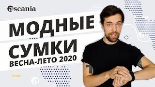 ТРЕНДЫ СУМОК 2020 – Обзор самых МОДНЫХ И СТИЛЬНЫХ СУМОК сезона весна-лето 2020 | Ascania