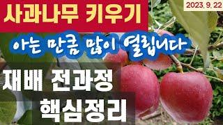 (텃밭) 사과나무 키우기 - 재배 전과정 핵심정리