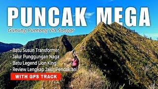 PUNCAK MEGA GUNUNG PUNTANG  | 7 Summit Jawa Barat | Review Lengkap Jalur Pendakian + GPS Track