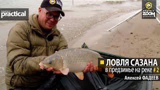 Ловля сазана в предзимье на реке. Алексей Фадеев. Часть 2. Anglers Practical