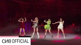 BLACKPINK - Crazy Over You (Live DVD THE SHOW 2021)