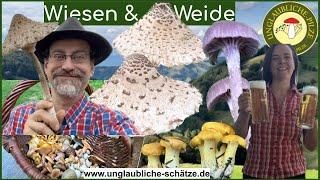 Wiesen & Weide - von Pils & Pilz auf der Wiesen - Pilze sammeln August 2023