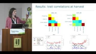 Using high-throughput phenotyping to improve accuracy in genomic prediction: Examples of crop simula