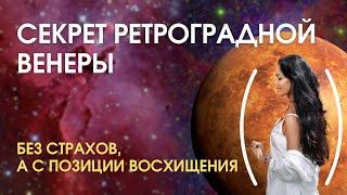 Ретроградная Венера. Без страхов, а с восхищением|Astrogreen