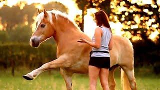 For A Minute - Horse Music Video "Eva and Shilas"