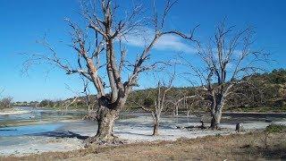 Managing saline groundwater