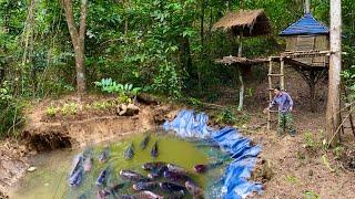 Survive and build a life in the forest to improve land to make fish ponds/ly ngoc thien