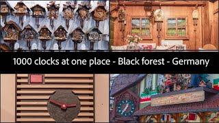 Virtual tour of HOUSE OF 1000 CLOCKS, Triberg, Germany | CUCKOO CLOCKS in Black Forest #triberg #4k