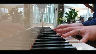 Levels - Avicii - Solo Piano Cover by Joe Kenny. www.weddingpianist.ie