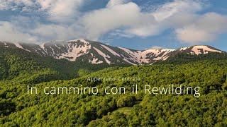 Central Apennines, A Rewilding Journey