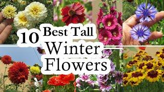 10 Best Tall Winter Flowering plants | Winter Flower Plant | Winter Flower for Height in the Garden