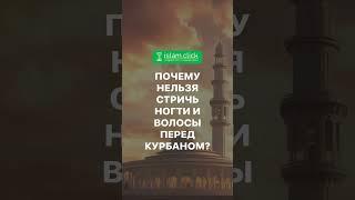 Почему нельзя стричь ногти и волосы перед жертвоприношением Курбана? Абу Яхья Крымский #Shorts