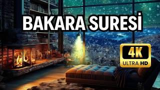 Bakara Suresi Dinle | Huzur ve Şifa Ayetleri ile Rahatla | Kuran Dinle