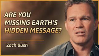 6 Powerful Lessons Nature Teaches Us About Being Human | Zach Bush