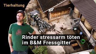 Hoftötung mit B&M Fressgitter, Hoflader und Blachenanhänger