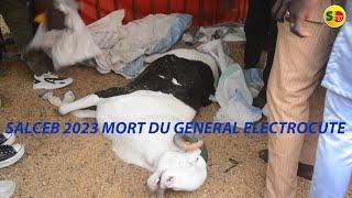 DRAME AU SALCEB: MORT PAR ELECTROCUTION DU GENERAL(BELIER LADOUM EXPOSE A LA FOIRE DE L'ELEVAGE CEB