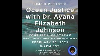 BIMS DIVES into Ocean Justice with Dr. Ayana Elizabeth Johnson