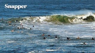 Snapper Rocks Funsize Walls