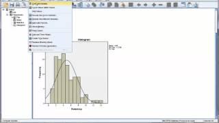 Data Transformation SPSS Tutorial