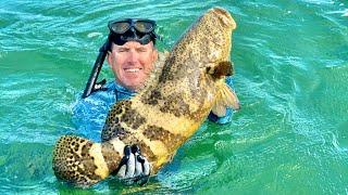 *GOLIATH GROUPER*. Catch Clean and Cook