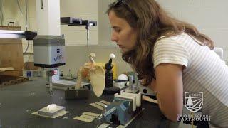 Dartmouth Graduate Student Research: Orthopedic Biomaterials