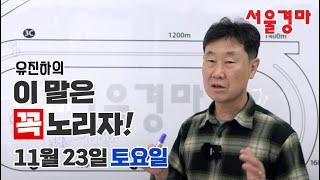 유진하의 이 말은 꼭 노리자!(2024년 11월 23일 토요일)