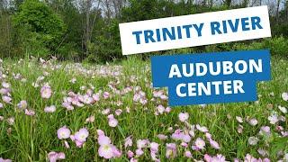 Trinity River Audubon Center - Dallas, TX