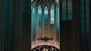 One of the most beautiful bookstores I have ever seen #maastricht  #books #booklover