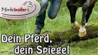 Dein Pferd, dein Spiegel