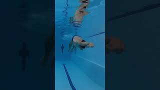 Школа плавания Let’s swim, обучение плаванию для взрослых Санкт Петербург (Спб) #шортс