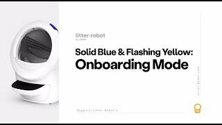 Solid Blue  with a Flashing Yellow Light: Onboarding Mode | Litter-Robot 4