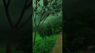Villege