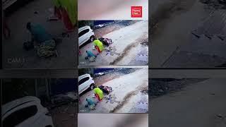 Stray Dogs Chase Scooty .Captured in CCTV