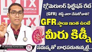 GFR స్థాయి ఇంత ఉంటే జాగ్రత్త| Glomerular Filtration Rate Test | Dr Praveen Kumar Etta | TX Hospitals