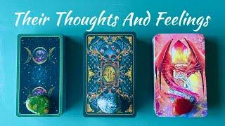 Love Pick A Card What Are Their Honest Thoughts And Feelings