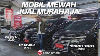 Update Harga Mobil Bekas Belanja Mobil! Alphard, Lexus, Fortuner Kondisi Kaya Baru! #BelanjaMobil