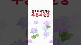 불교에서 말하는 수용과 순응에 대하여