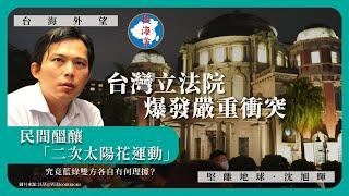 【台海外望 x 秋海棠民國史地 025 】台灣立法院爆發嚴重衝突，民間醞釀「二次太陽花運動」，究竟藍綠雙方各自有何理據？