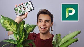 Planta App Review and How to Use!