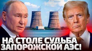 ️УЖЕ ЗАВТРА! ТРАМП ПОЗВОНИТ ПУТИНУ! НА ПОВЕСТКЕ ЗАПОРОЖСКАЯ АЭС! КАК ПРОДВИГАЮТСЯ ПЕРЕГОВОРЫ?