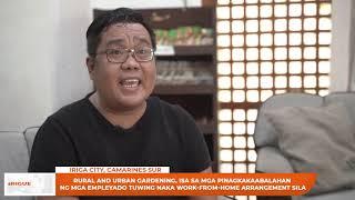 Urban Gardening handog ni Mayor Madel Yorobe Alfelor sa mga LGU Employees  2021-Feb-18